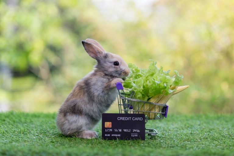 How to Make Money With TaskRabbit